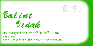 balint vidak business card